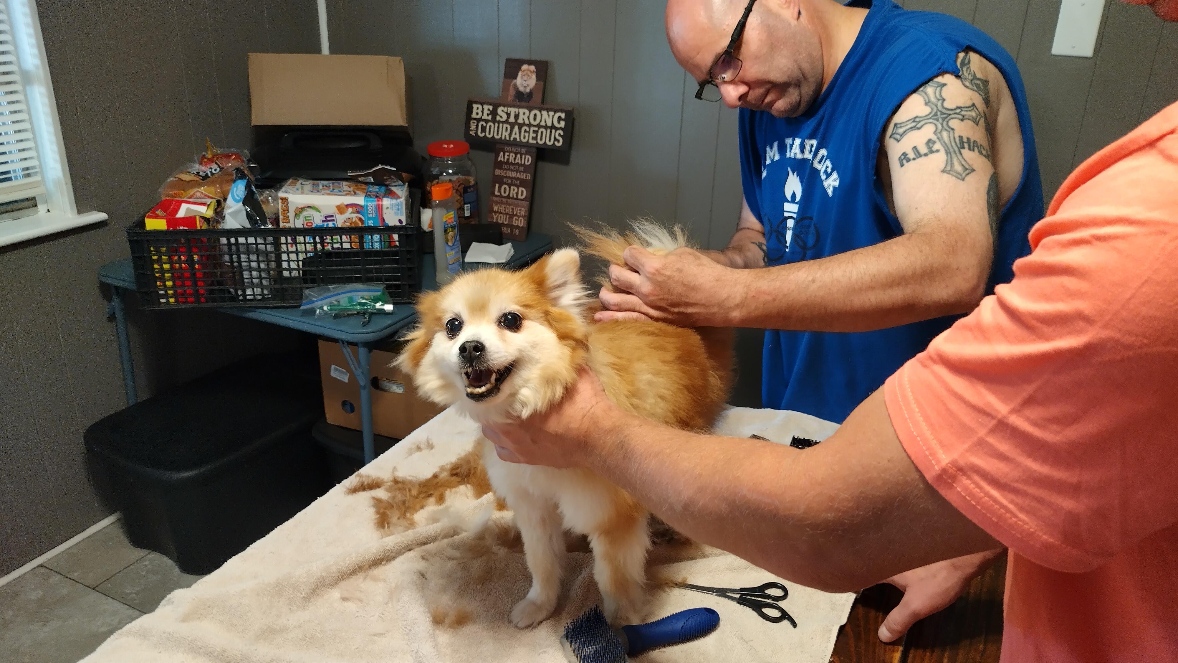 Nick and Brooks grooming Bella